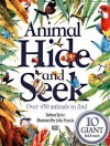 Animal Hide and Seek - Barbara Taylor