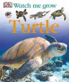 Turtle (Watch Me Grow) - Lisa Magloff