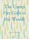 The Camp Fire Girls in the Woods - Jane L. Stewart