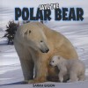 Save The Polar Bear - Sarah Eason