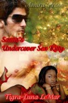 Santa's Undercover Sex Kitty - Tigra-Luna LeMar