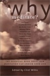 Why Meditate?: A Book of Answers for Everyone - Clint Willis