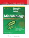 Microbiology - Richard A. Harvey