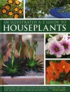 An Illustrated A-Z Guide to Houseplants: Everything You Need to Know to Identify, Choose and Care for 350 of the Most Popular Houseplants - Peter McHoy