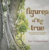 Figures of the True - Amy Carmichael