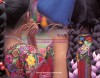Viva Colores: A Salute to the Indomitable People of Guatamala / Un Saludo a La Indomable Gente De Guatamala - Paola Gianturco, David Hill