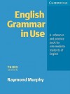 English Grammar in Use: A Reference and Practice Book for Intermediate Students of English - Raymond Murphy