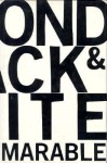 Beyond Black and White: Rethinking Race in American Politics and Society - Manning Marable