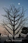 One Bright Star (Dark Horse, #3.1) - Kate Sherwood