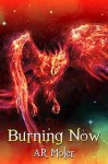 Burning Now - A.R. Moler