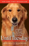 Until Tuesday: A Wounded Warrior and the Golden Retriever Who Saved Him - Luis Carlos Montalván, Bret Witter