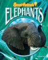 Elephants - Duncan Searl