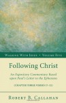 Following Christ - Robert B. Callahan