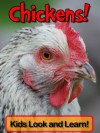 Chickens! Learn About Chickens and Enjoy Colorful Pictures - Look and Learn! (50+ Photos of Chickens) - Becky Wolff