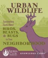 Urban Wildlife: Fascinating Facts About Birds, Beasts, & Bugs in Your Neighborhood Knowledge Cards Deck - Pomegranate