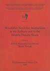 Mesolithic/Neolithic Interactions in the Balkans and in the Middle Danube Basin - Janusz K. Kozlowski, Marek Nowak