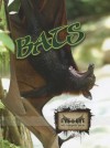 Bats (Eye To Eye With Endangered Species) - Cindy Rodriguez