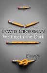 Writing In The Dark - David Grossman