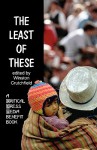 The Least of These: A Critical Press Media Benefit Book - Winston Crutchfield, Drucella Crutchfield, Deborah Caligiuri, Justin Lowmaster, Kelsey Felder, Philip Carroll, Nathan James Norman, Matthew Hurley, Hazel Reed Cotharn, Andrew Crutchfield, David Crutchfield