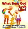 What Does God Look Like? - Lawrence Kushner, Karen Kushner