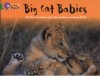 Big Cat Babies - Jonathan Scott, Angela Scott