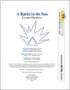 A Raisin in the Sun (SparkNotes Literature Guide Series) - SparkNotes Editors, Lorraine Hansberry