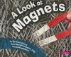 A Look at Magnets - Barbara Alpert