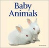 Baby Animals - Debbie Stowe