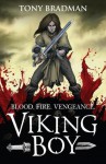 Viking Boy - Tony Bradman, Pierre-Denis Goux