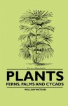 Plants - Ferns, Palms and Cycads - William Watson