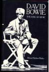 David Bowie: Theatre Of Music - Robert Matthew-Walker