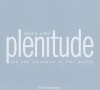 Plenitude: The New Economics of True Wealth - Juliet B. Schor, Karen White