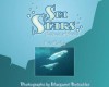 Sea Stars: Saltwater Poems - Avis Harley, Margaret Butschler