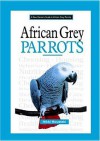 A New Owner's Guide to African Grey Parrots - Nikki Moustaki