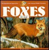 Foxes for Kids - Judy Schuler