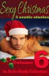 Sexy Christmas Stories - Volume Six - an Xcite Books Collection - Jodie Davis, Landon Dixon, Roxanne Rhoads