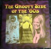 The Groovy Side Of The '60's - Tom DeMichael, Rhonda Markowitz