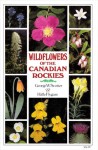 Wildflowers of the Canadian Rockies - George W. Scotter, Halle Flygare