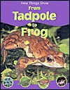 How Things Grow From Tadpole To Frog - Sally Morgan