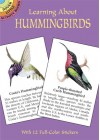 Learning about Hummingbirds - Jan Sovak