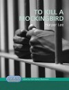 Hodder Graphics: Harper Lee's To Kill a Mockingbird - Ruth Benton Blackmore, Philip Page