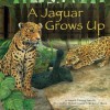 A Jaguar Grows Up - Amanda Doering Tourville, Michael L. Denman, William J. Huiett