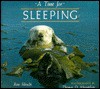 A Time for Sleeping - Ron Hirschi