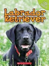 Labrador Retriever - Charles George, Linda George