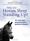 Why Do Horses Sleep Standing Up? - Marty Becker