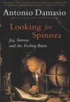 Looking for Spinoza: Joy, Sorrow, and the Feeling Brain - Antonio R. Damasio