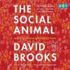 The Social Animal: The Hidden Sources of Love, Character, and Achievement - David Brooks, Arthur Morey