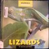 Lizards - Joanne Mattern