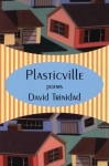 Plasticville - David Trinidad