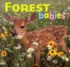 Forest Babies - Northword Books for Young Readers, Lisa Husar, Mike Husar, Aimee Jackson, North Work